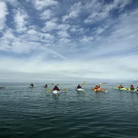 Stunning Canadian Sea Kayaking Vacation Packages with West Coast Expeditions